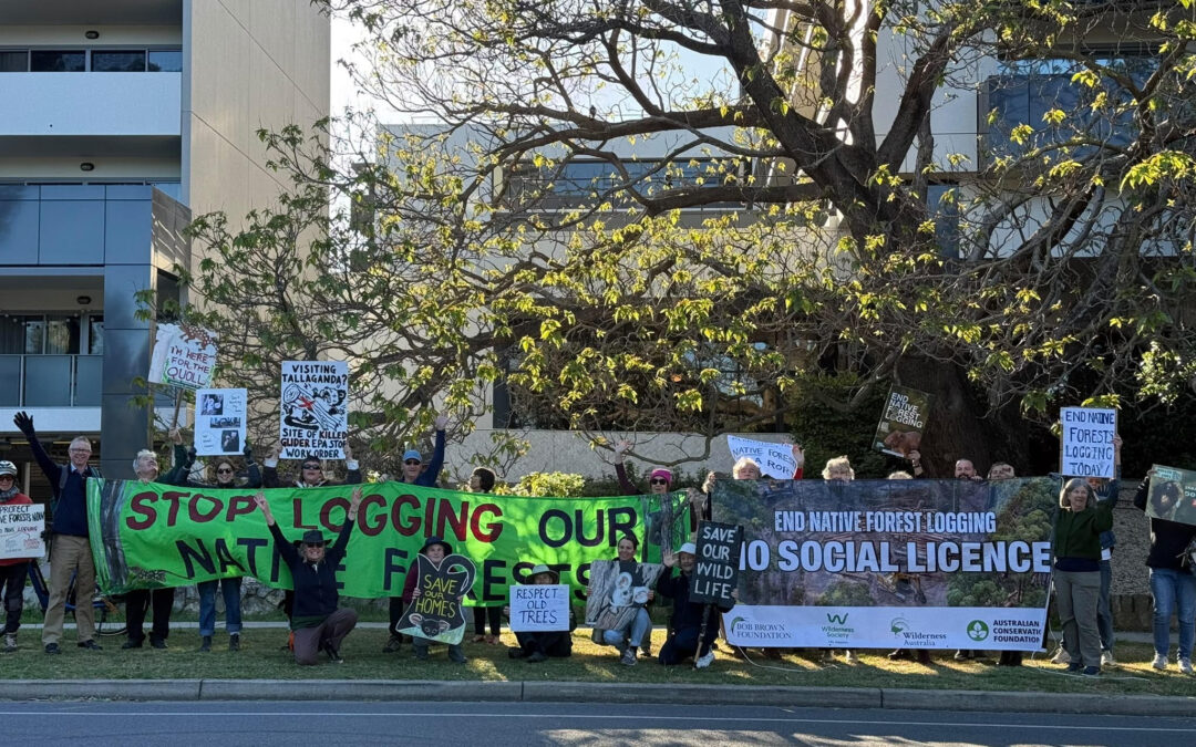 Canberra rallies to tell forestry conference: no social licence for native forest logging