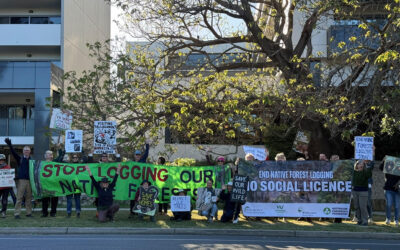 Canberra rallies to tell forestry conference: no social licence for native forest logging