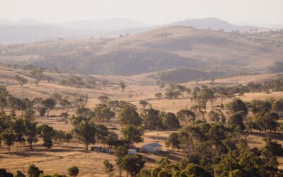 Submit your photo for our Western Edge Calendar