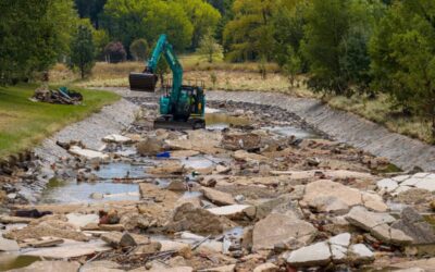 The Case for Renaturalisation: Yarralumla Creek